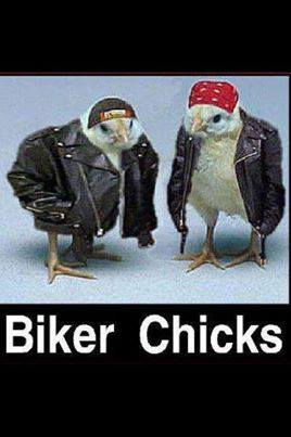 Biker Chicks.jpg
