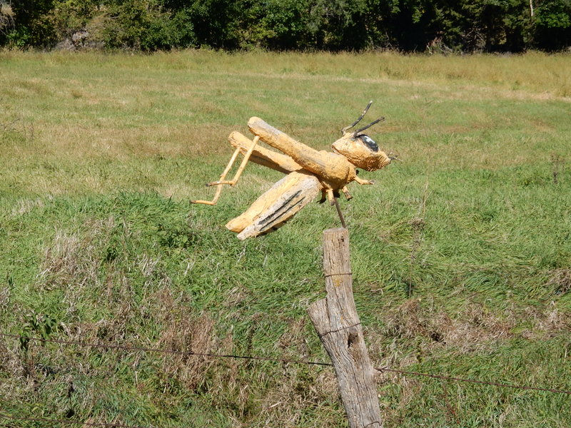 DSCN1145.JPG