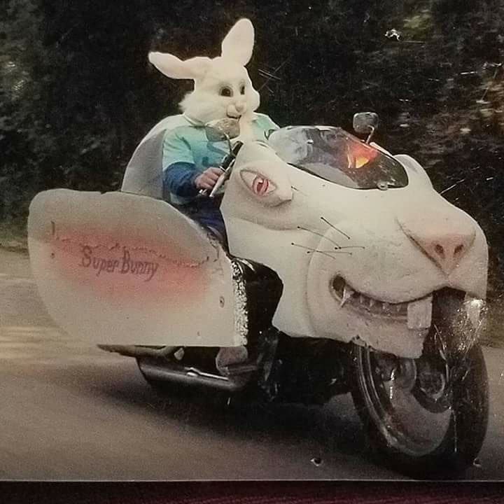 Super Bunny.jpg