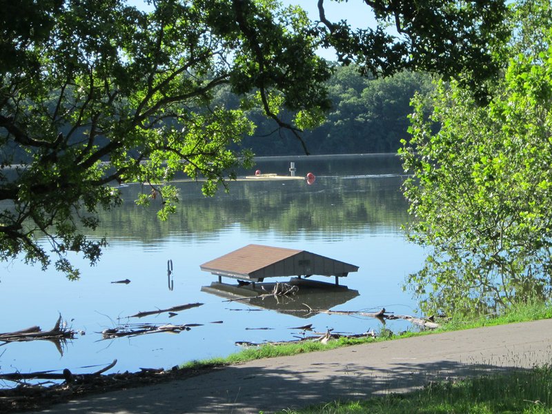 Lake was over the access road to the docks