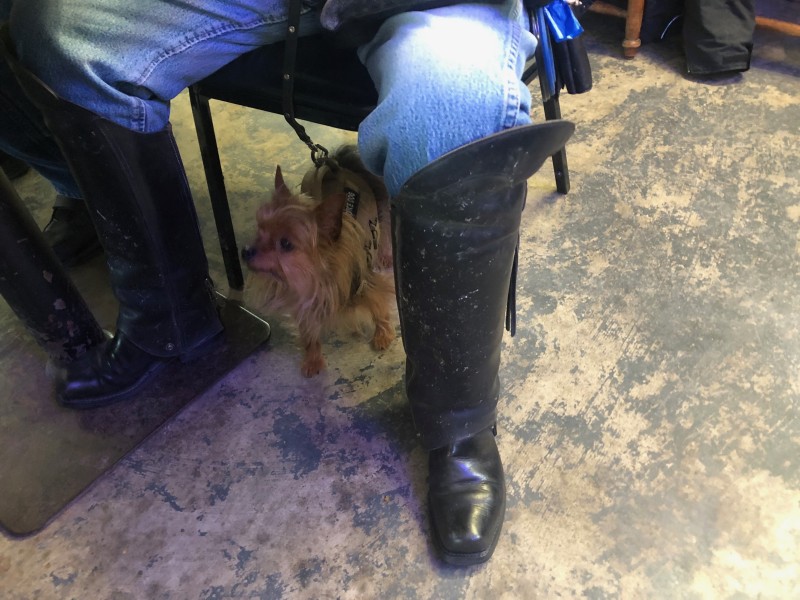 IMG_5340.jpeg