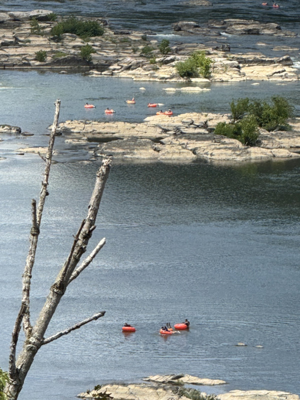 a005image.jpg