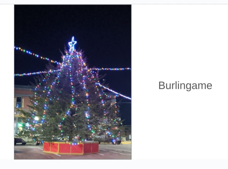The town Christmas Tree in Burlingame. It's an annual tradition.