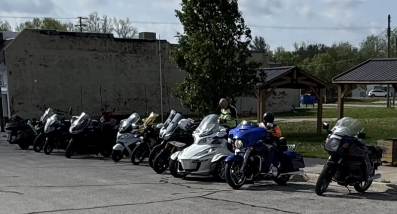 The line up