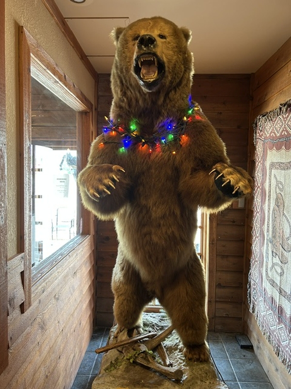 7_14_26TimberCreed007.jpg