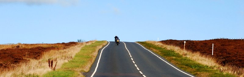 canstockphoto2265811 cropped 1162 x 367.jpg