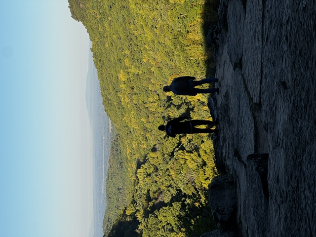 IMG_9463.jpeg
